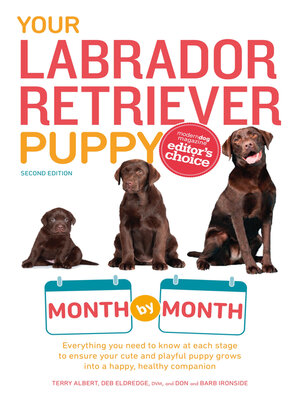 cover image of Your Labrador Retriever Puppy Month by Month